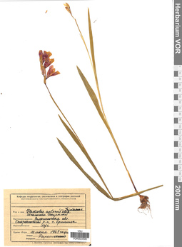 VOR 0024580
