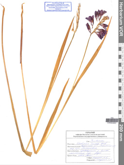 VOR 0024622