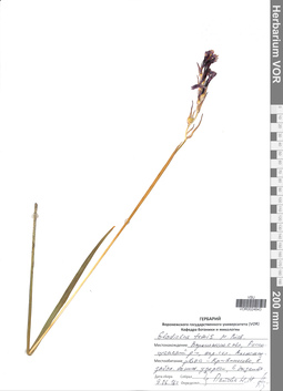 VOR 0024643