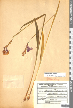 VOR 0024670