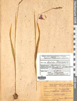 VOR 0024672