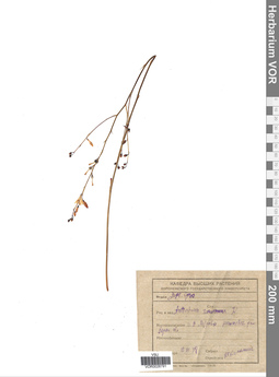 VOR 0026791