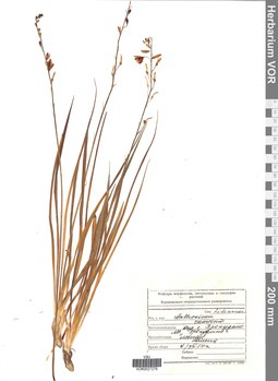 VOR 0027276