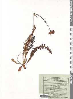 VOR 0005769