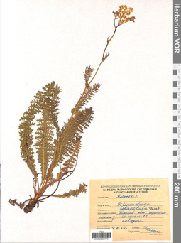 VOR 0005773