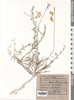 VOR 0009040