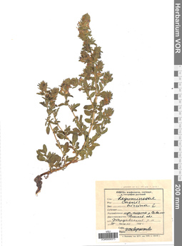 VOR 0009373