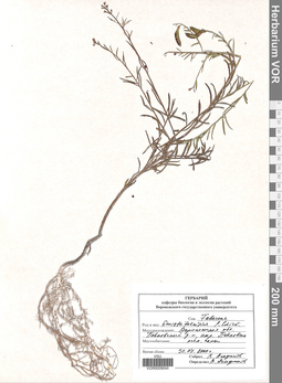 VOR 0009044