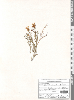 VOR 0009045