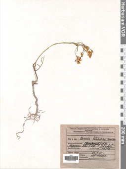 VOR 0009048