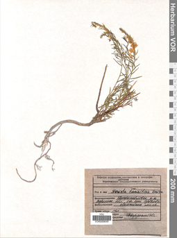 VOR 0009049