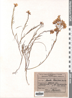 VOR 0009050