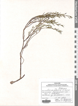 VOR 0009054