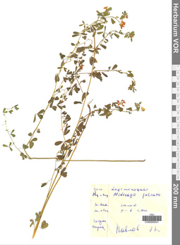 VOR 0009341