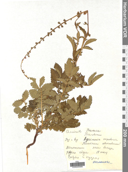 VOR 0005880