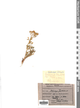 VOR 0009418