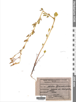 VOR 0009024