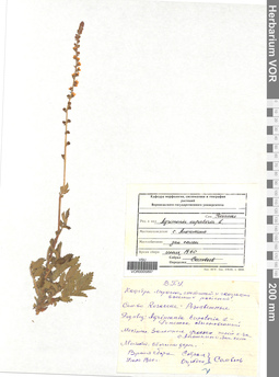VOR 0005897