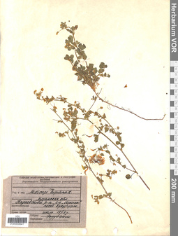VOR 0008941