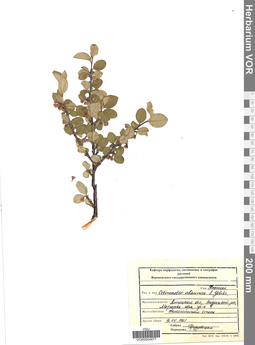 VOR 0004677