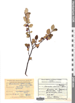 VOR 0004680