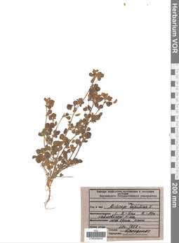 VOR 0008948
