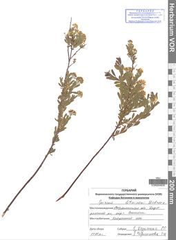 VOR 0004635