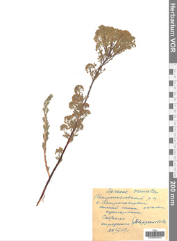 VOR 0004644