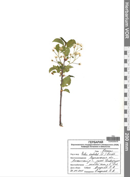VOR 0006476