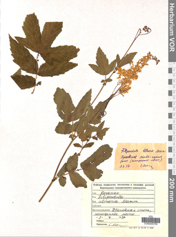 VOR 0005759
