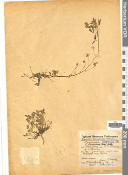 VOR 0009363