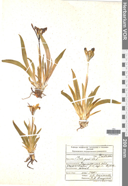 VOR 0026404