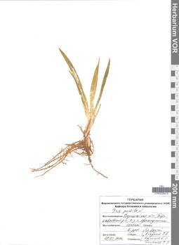 VOR 0026419