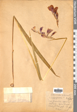 VOR 0023255