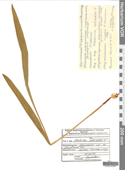 VOR 0024586