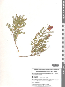 VOR 0039766