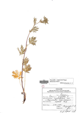 VOR 0005366